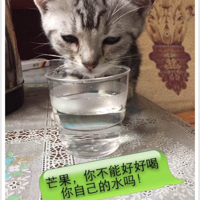 办理比勒费尔德大学文凭